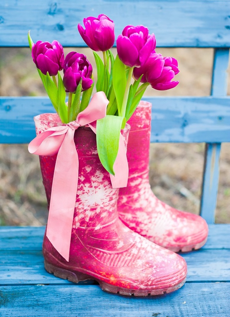 Flowers flowers  / lacecap flowers